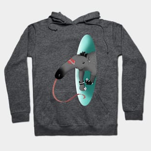 Aardvark of Aanarchy Hoodie